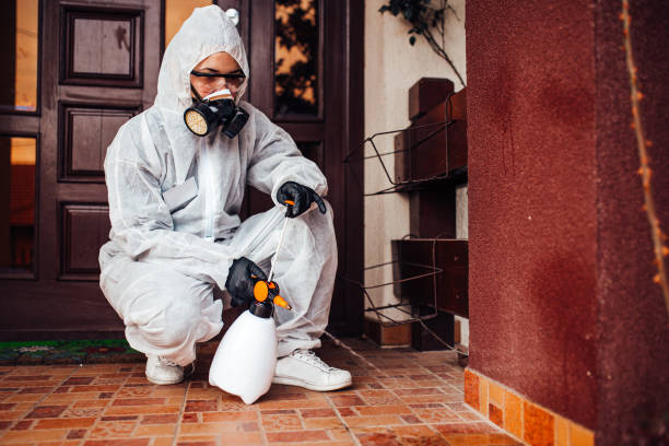 Reliable Bed Bug Control contractor in Macon, MO by Nex Pest Control